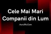Cele Mai Mari Companii din Lume: Top 10 Lideri în Industrie și Inovație